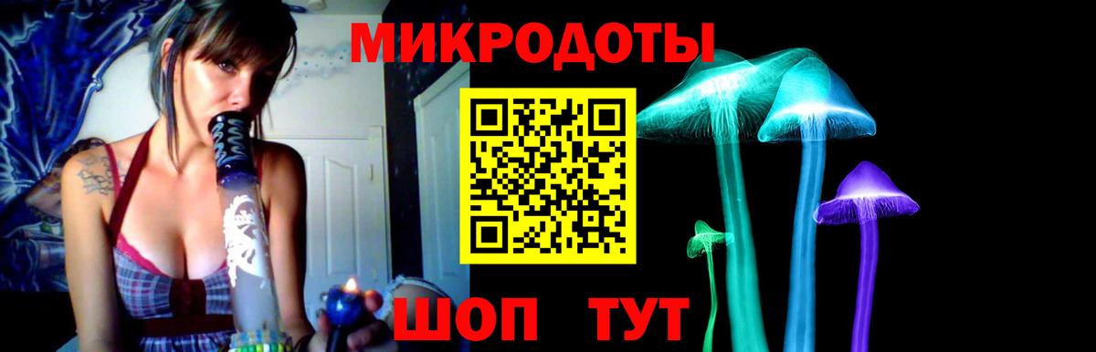 Ишимбай  Галлюциногенные грибы Cubensis  Вход с VPN 